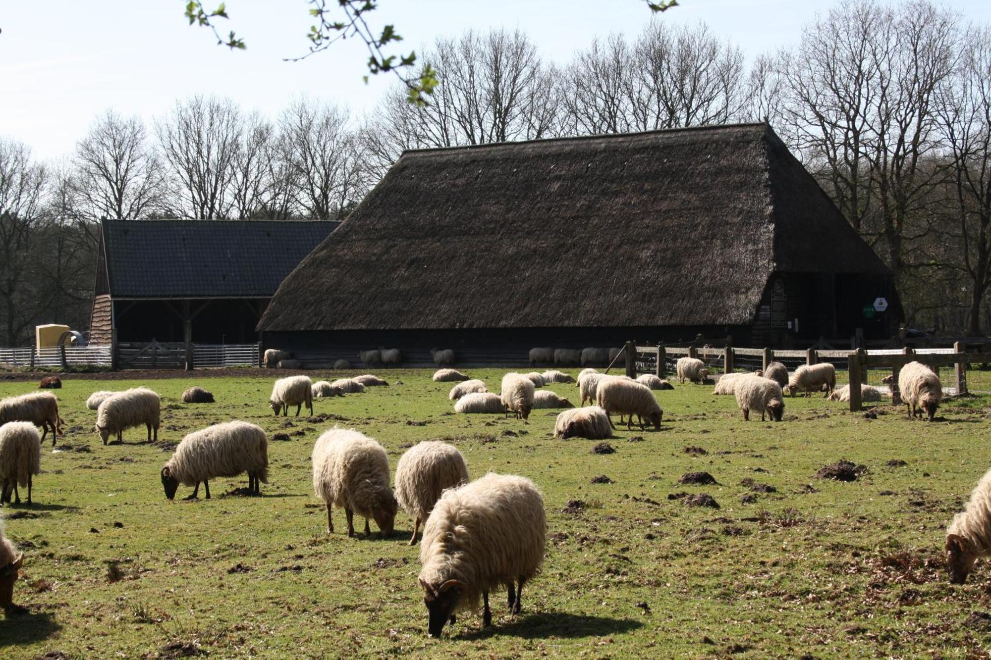 Herberg De Roskam Uffelte ภายนอก รูปภาพ